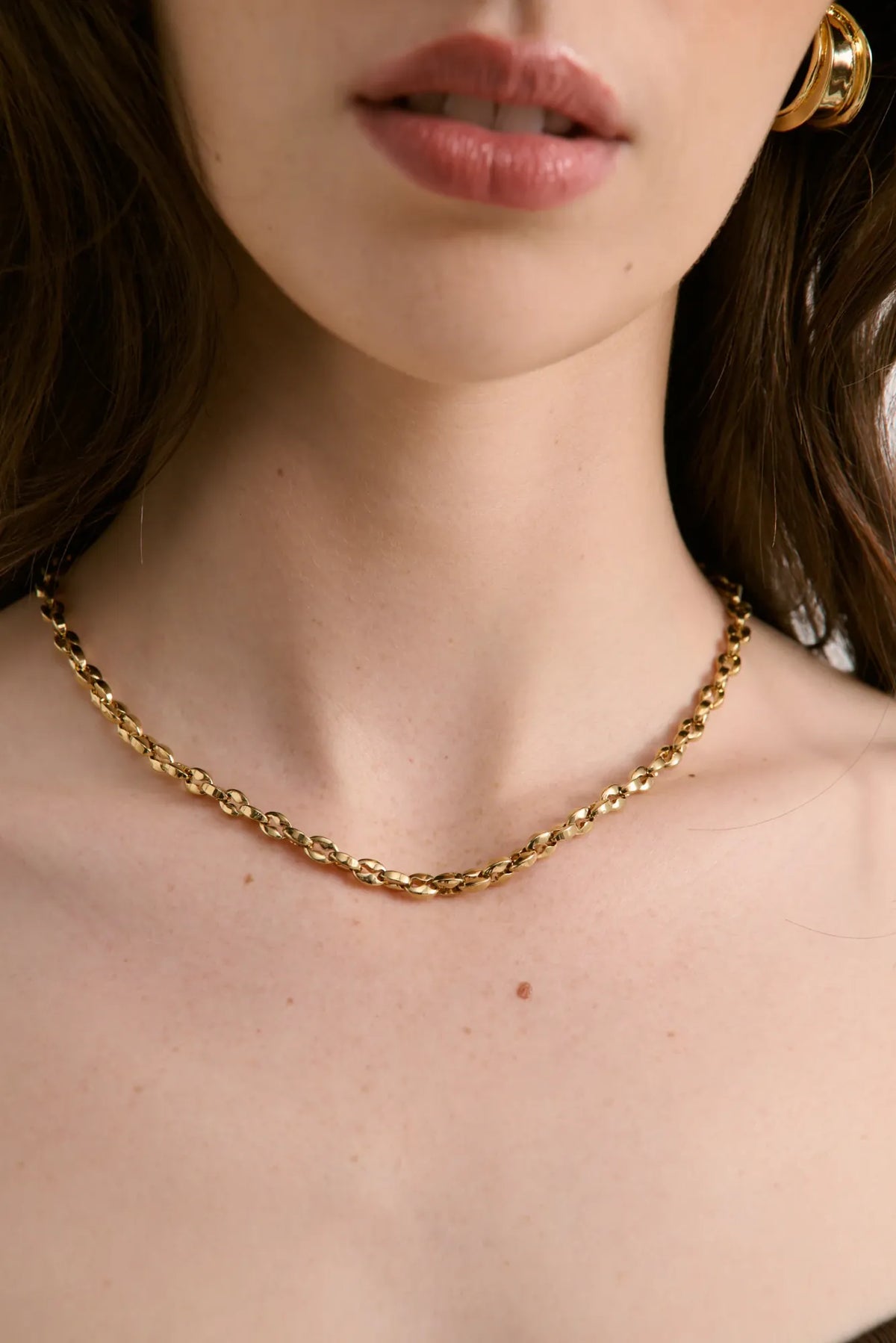 Lois & Co Necklace Chain Vantage Rope 18k Gold Plated Necklace Vantage Rope 18k Gold Plated Necklace